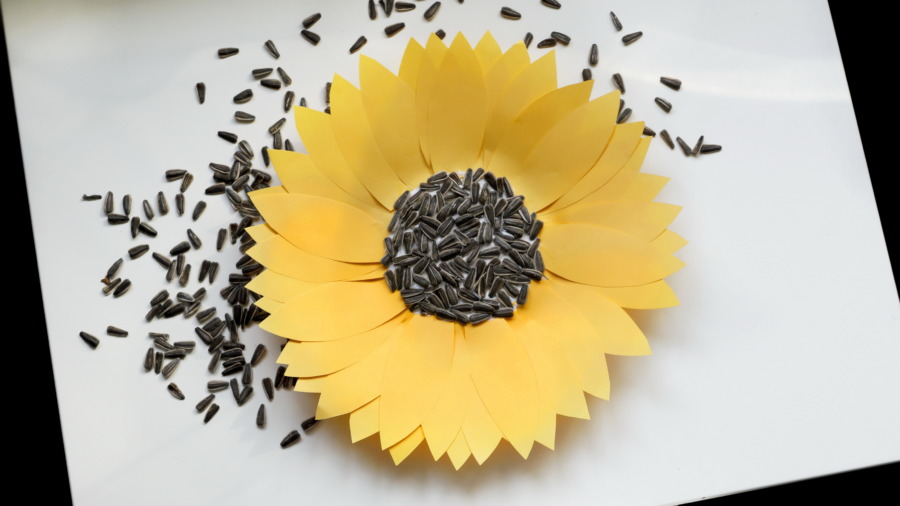 Kwiat słonecznika – małe rączki kleją